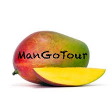 logo mangotour logo mangotour